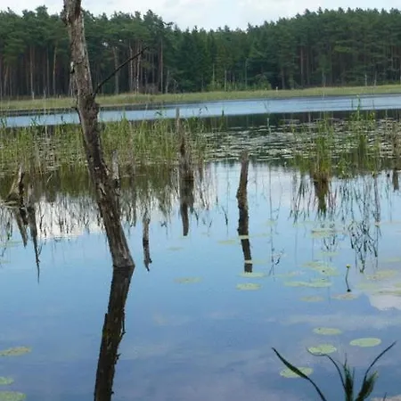 Altes Gutshaus-federow 3*