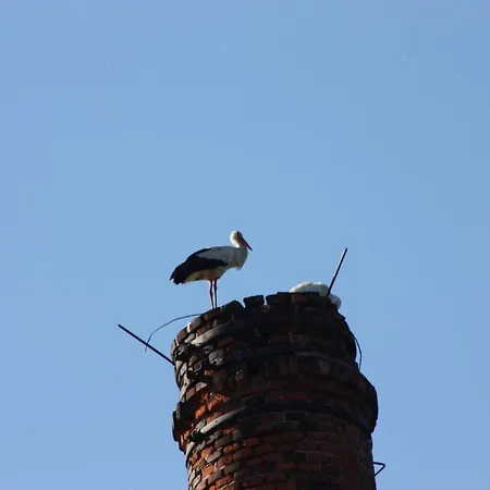 Altes Gutshaus-federow Hotel 3*