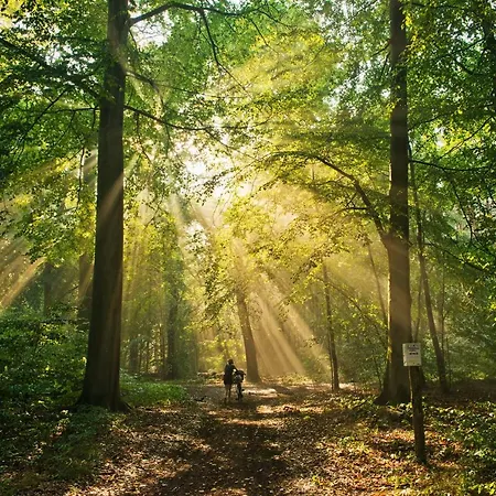 Altes Gutshaus-federow Hotel