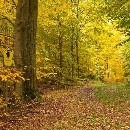 Hotel Altes Gutshaus-federow 3*